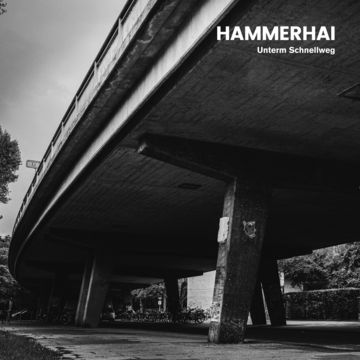 Hammerhai_Unterm Schnellweg